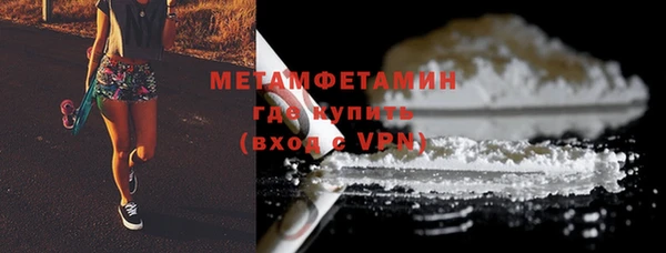 прущие грибы Верея