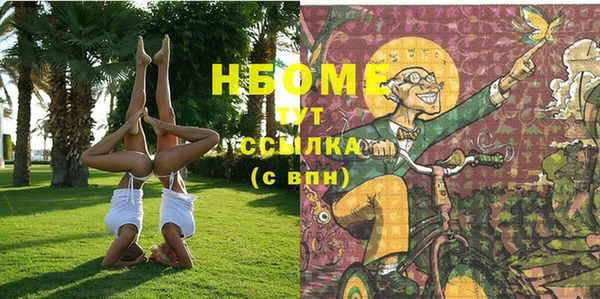 прущие грибы Верея