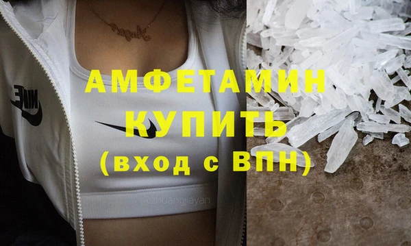 прущие грибы Верея