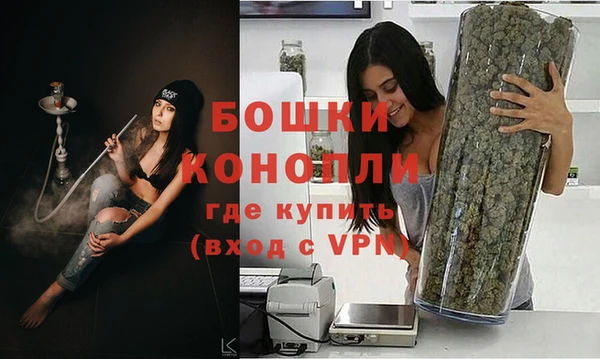 прущие грибы Верея