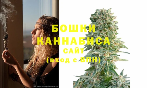 прущие грибы Верея