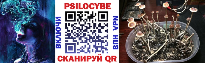 Псилоцибиновые грибы MAGIC MUSHROOMS  Няндома 