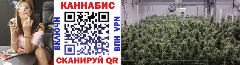 MEGA зеркало  Няндома  Канабис ГИДРОПОН 
